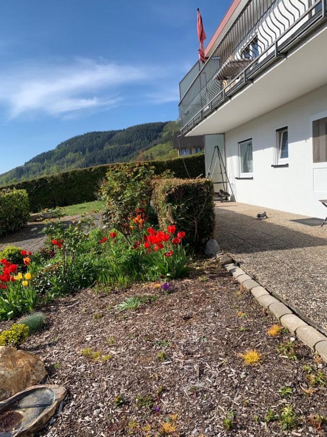Fewo Moselblick Traben-Trarbach Exterior photo
